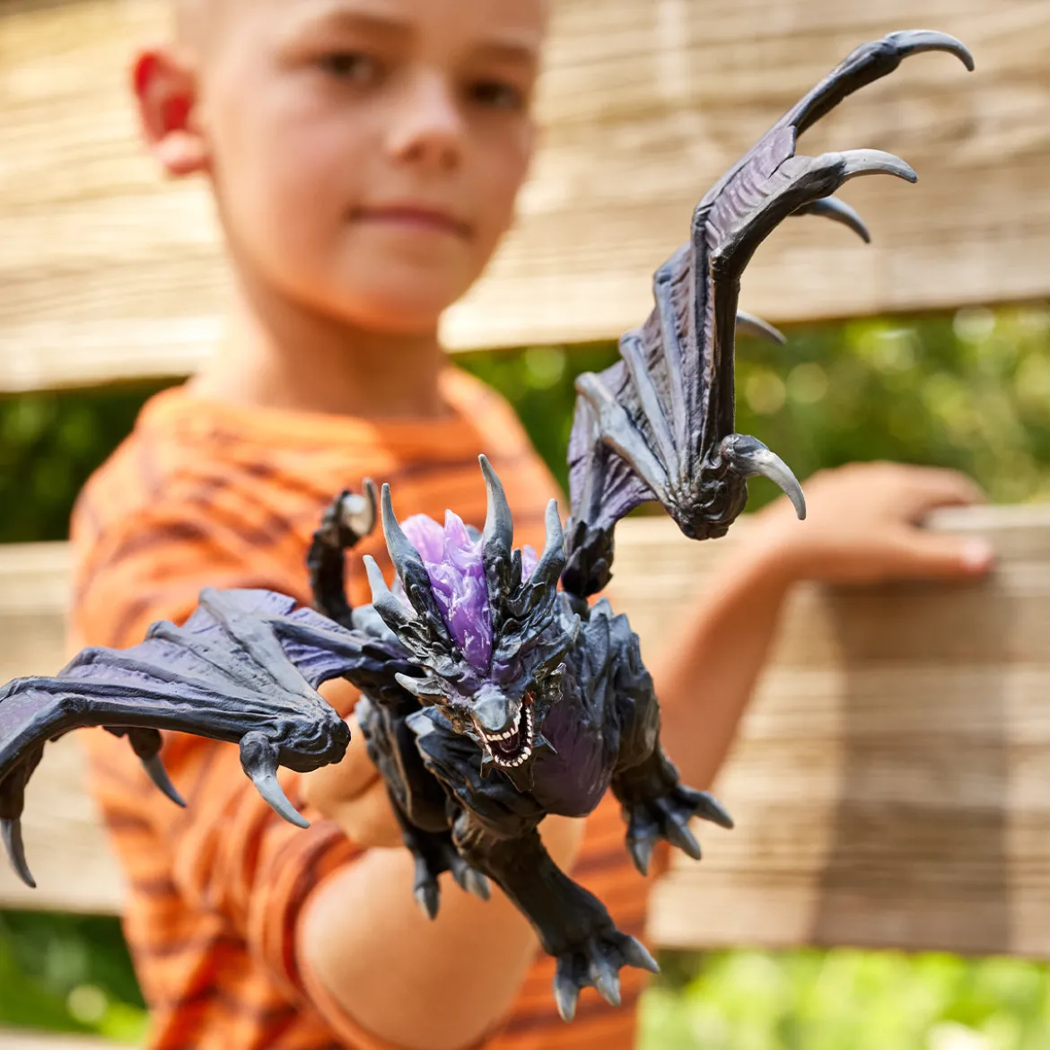 Dragon Des Ombres
