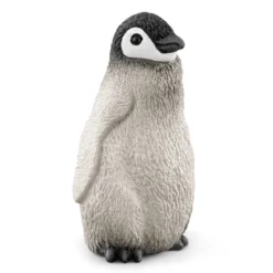 Expédition En Antarctique