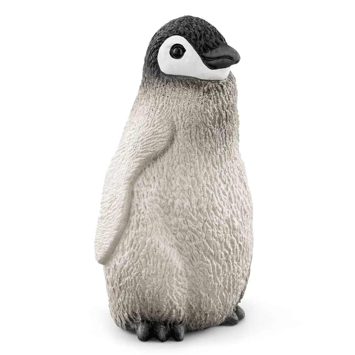 Expédition En Antarctique