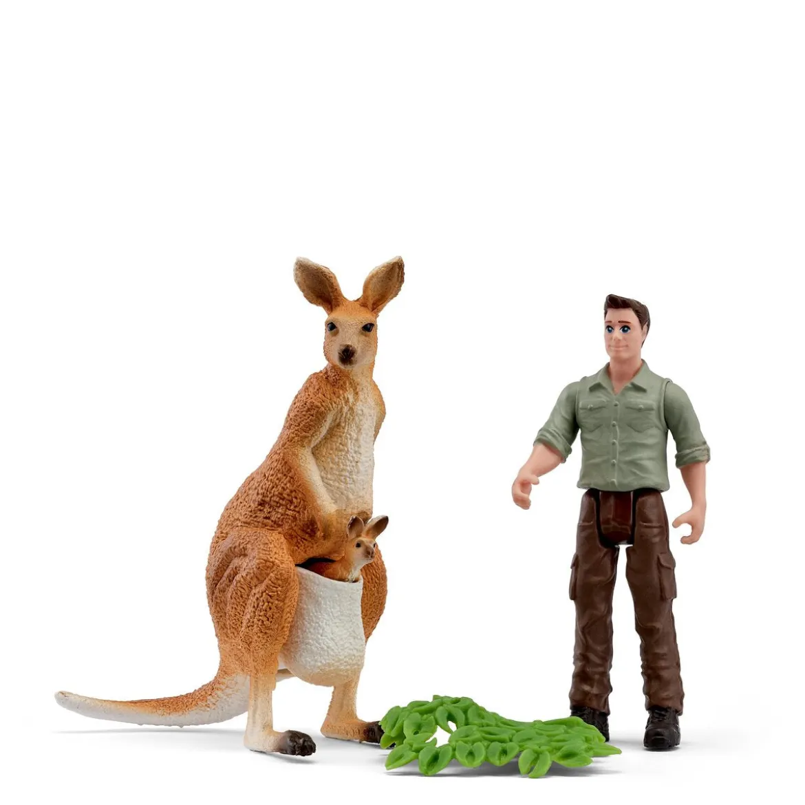 Expédition kangourous