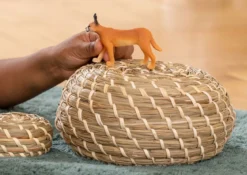 Femelle Caracal