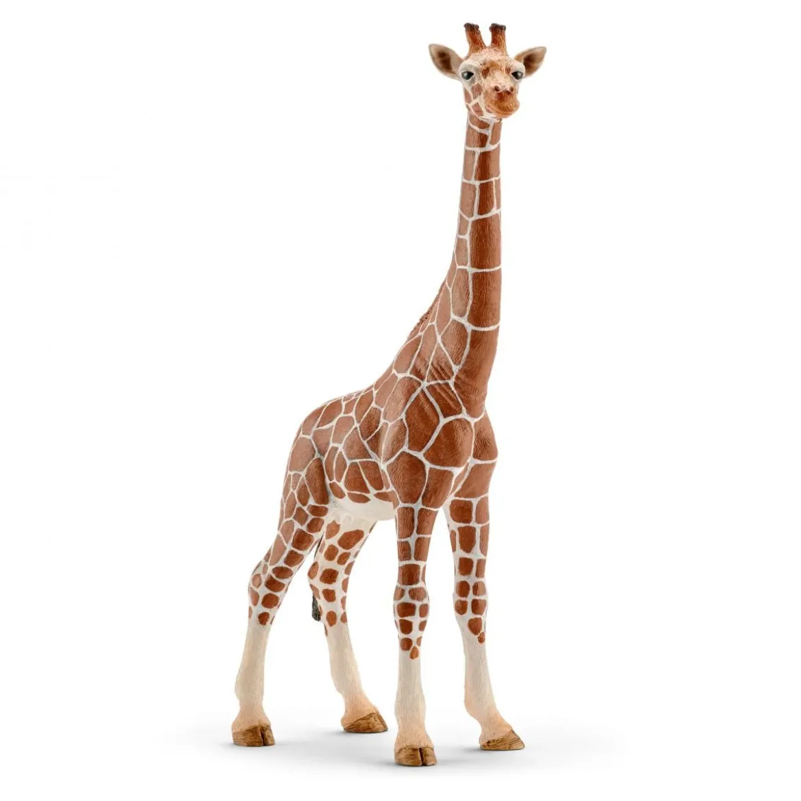 Girafe femelle