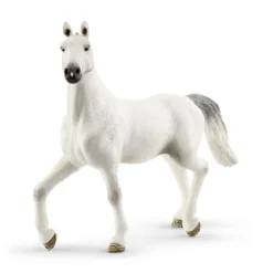 Grand Manège Equestre