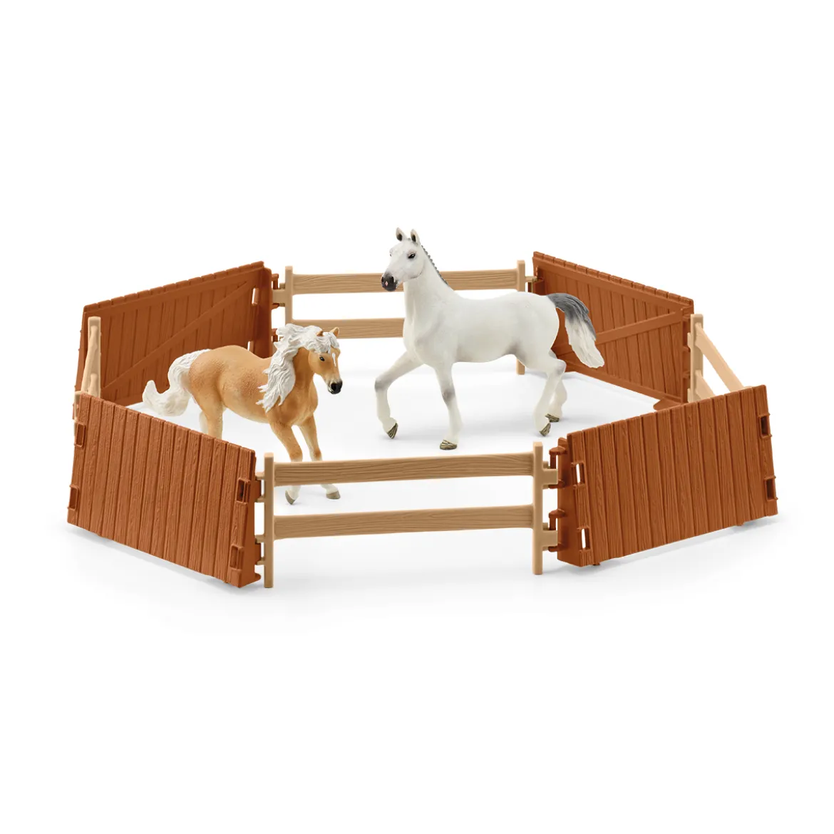 Grand Manège Equestre