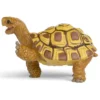 Henrietta la tortue