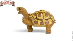 Henrietta la tortue