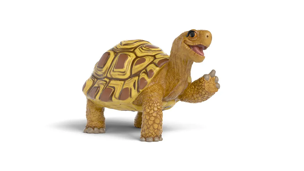 Henrietta la tortue