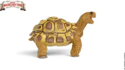 Henrietta la tortue