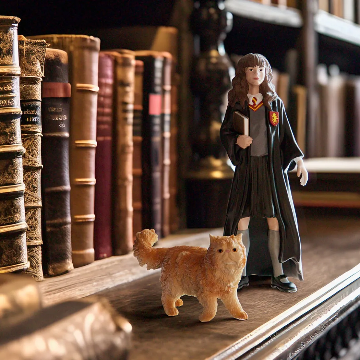 Hermione Granger™ & Pattenrond