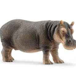 Hippopotame (bundle)