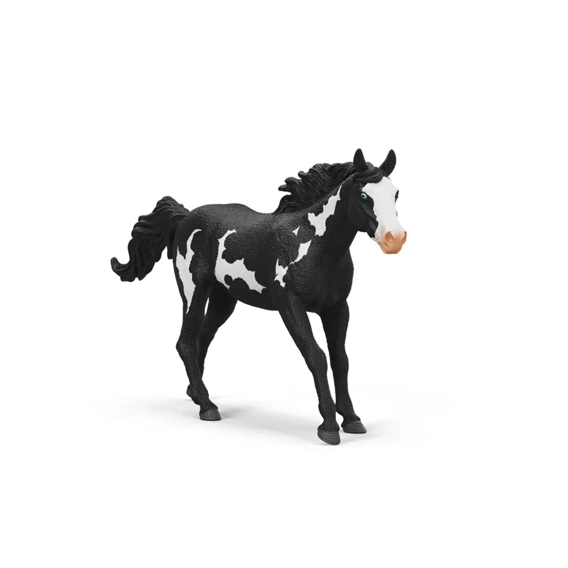 Hongre Paint Horse