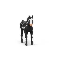 Hongre Paint Horse