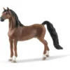 Hongre Saddlebred
