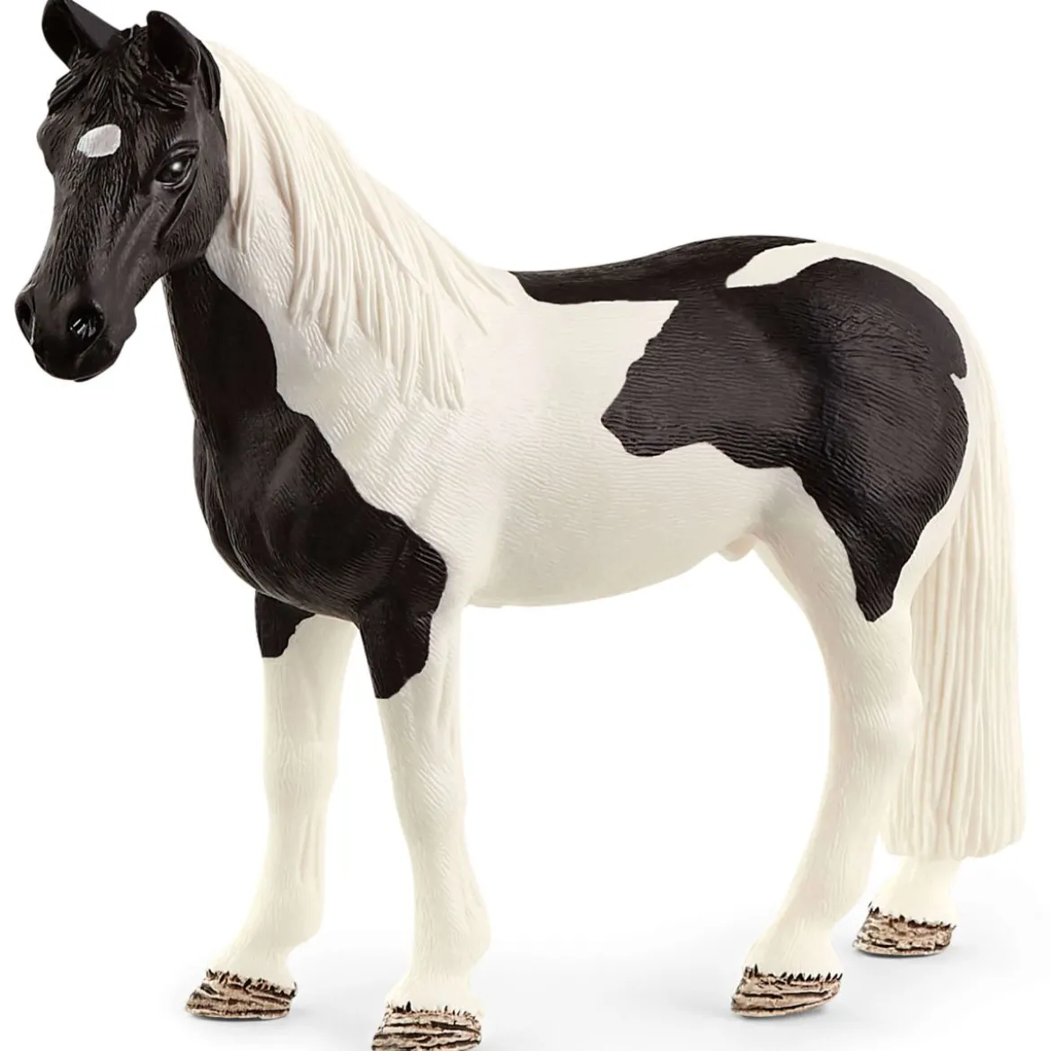 Hongre Tennessee Walker