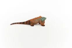 Iguane