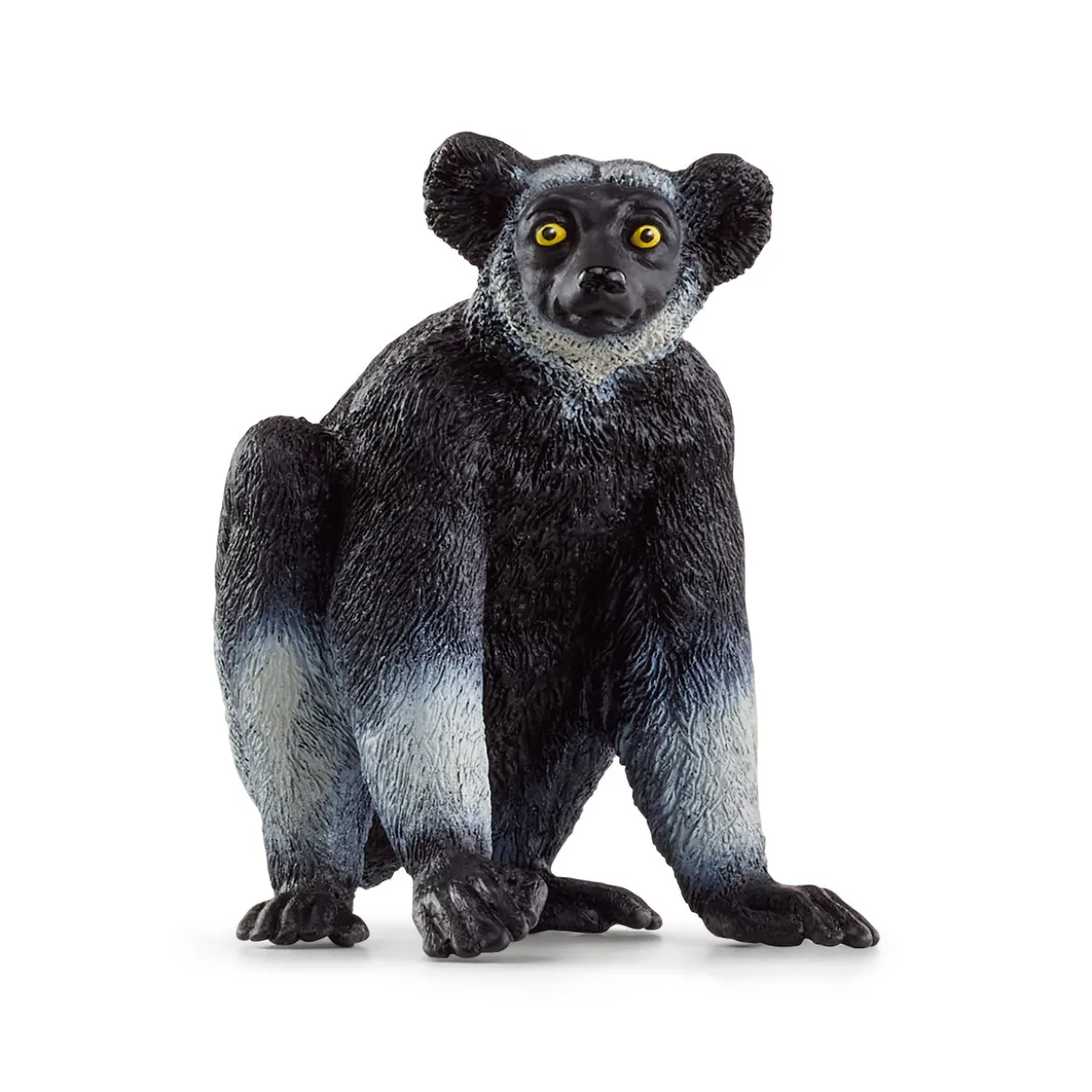 Indri