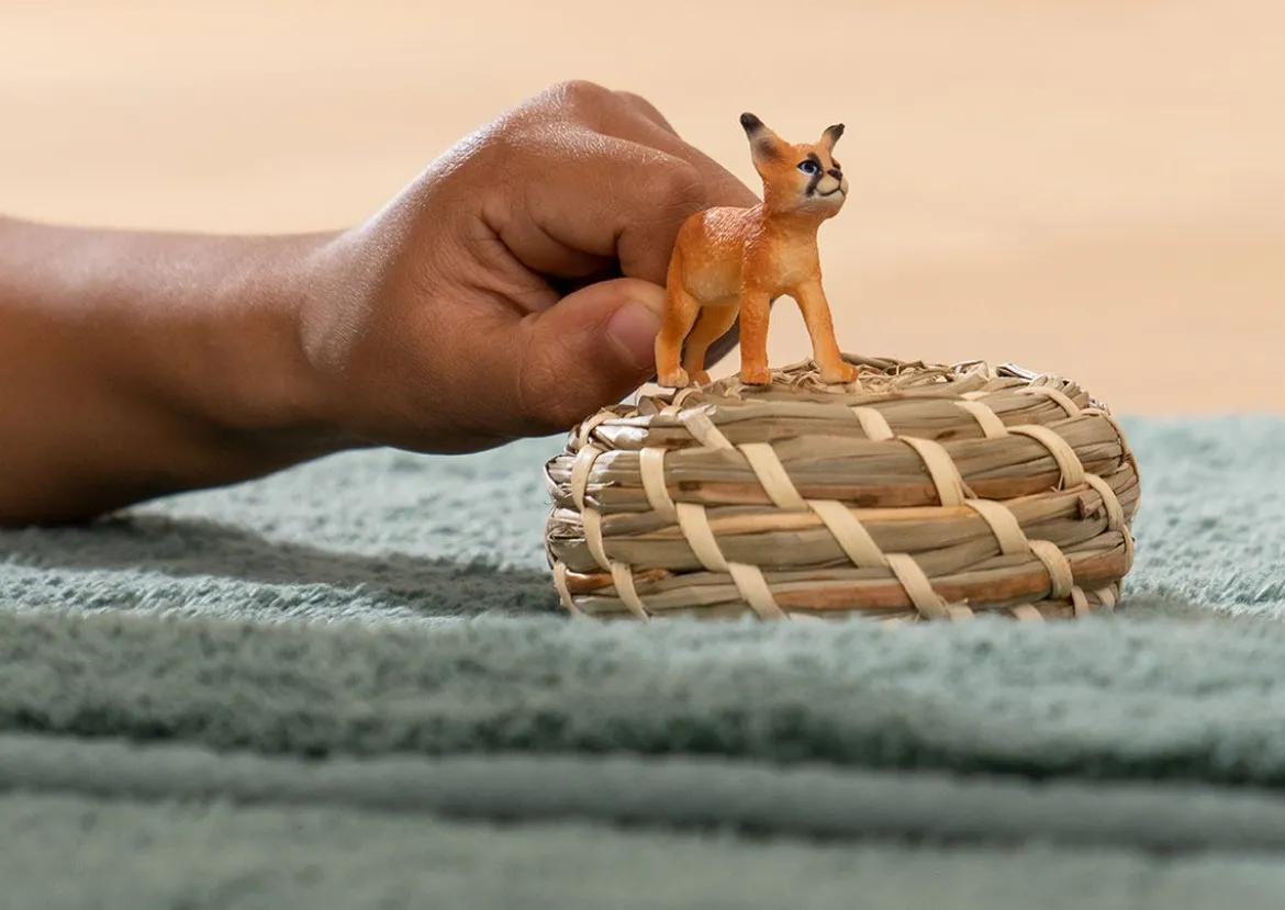 Jeune Caracal
