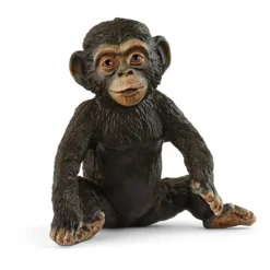 Jeune Chimpanzé