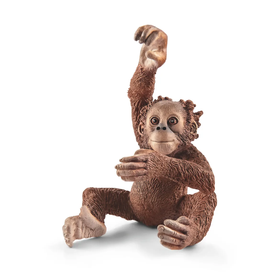 Jeune orang-outan (Bundle)