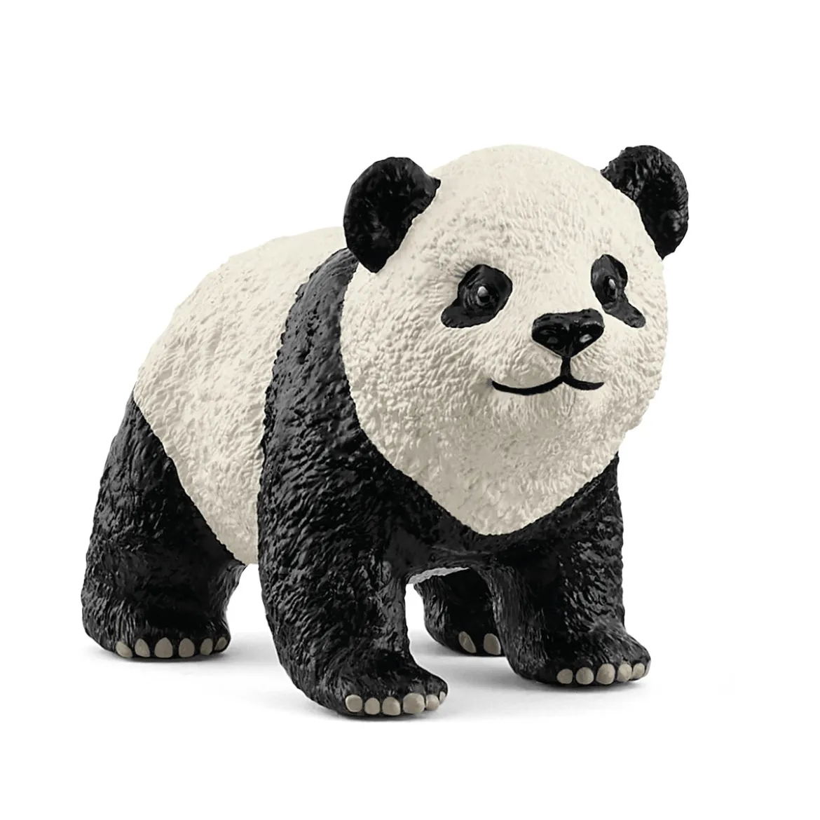 Jeune Panda Géant