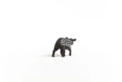 Jeune tapir