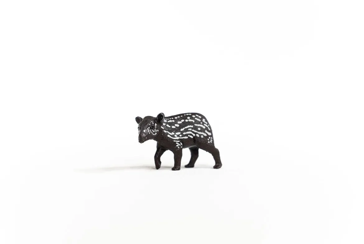 Jeune tapir
