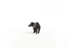 Jeune tapir