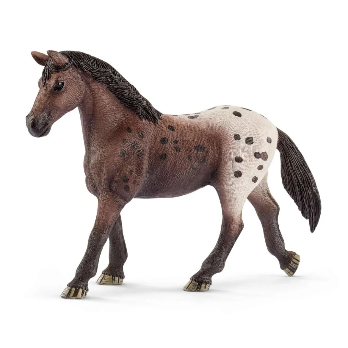 Jument Appaloosa