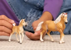 Jument Haflinger