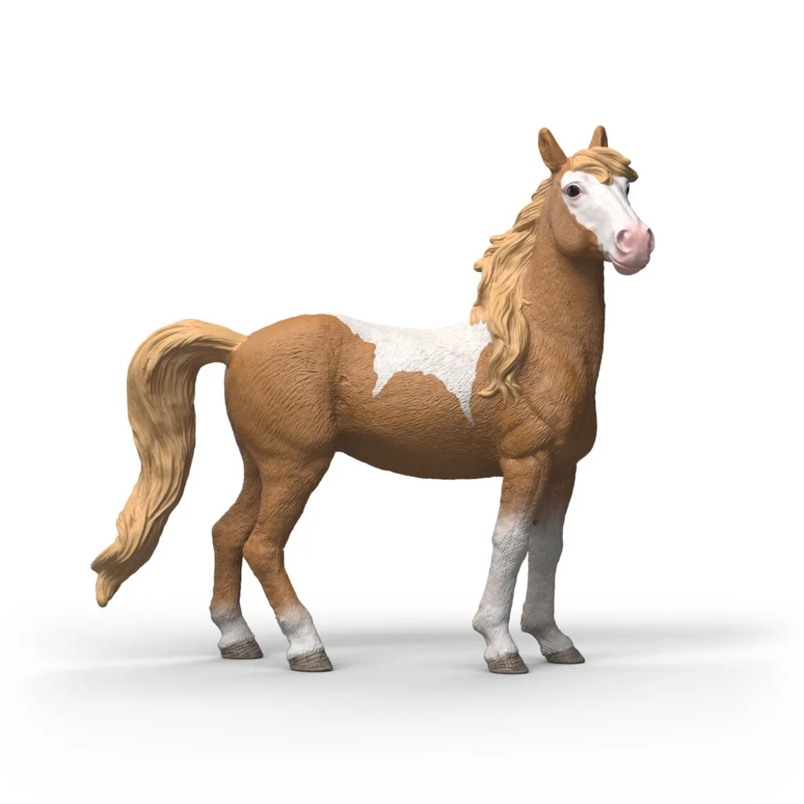 Jument Mustang