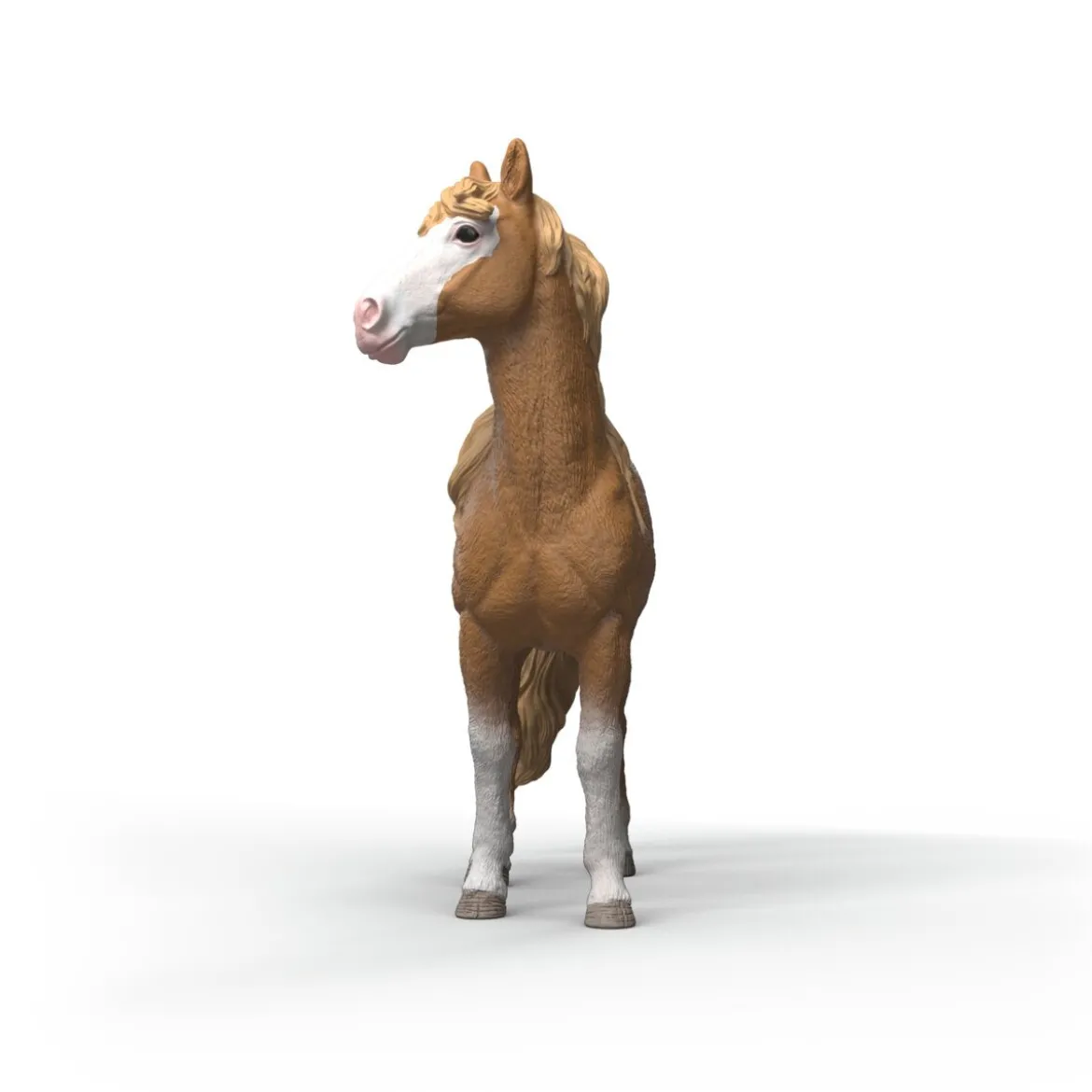 Jument Mustang