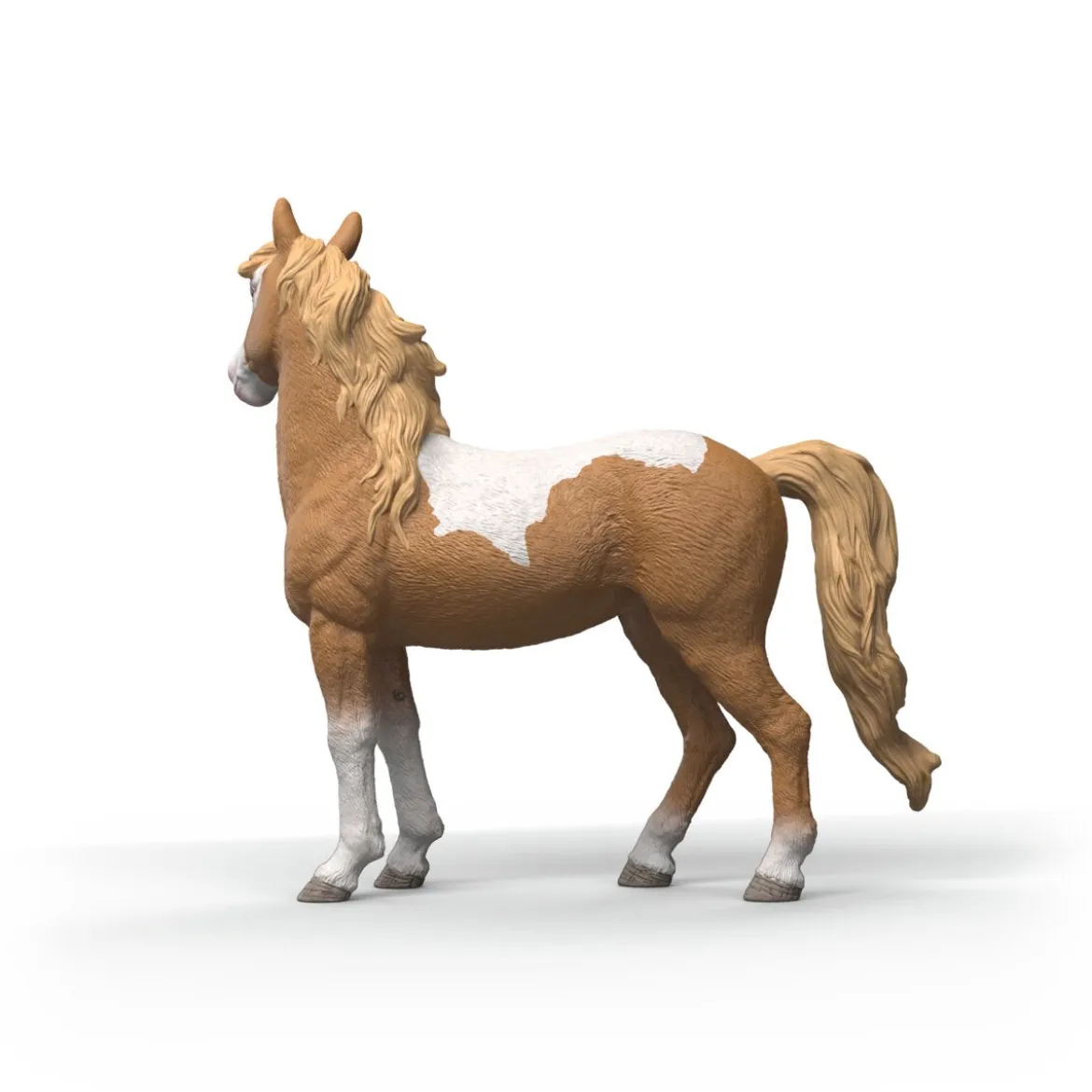 Jument Mustang