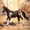 Jument Paint Horse