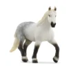 Jument Percheron