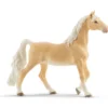 Jument Saddlebred