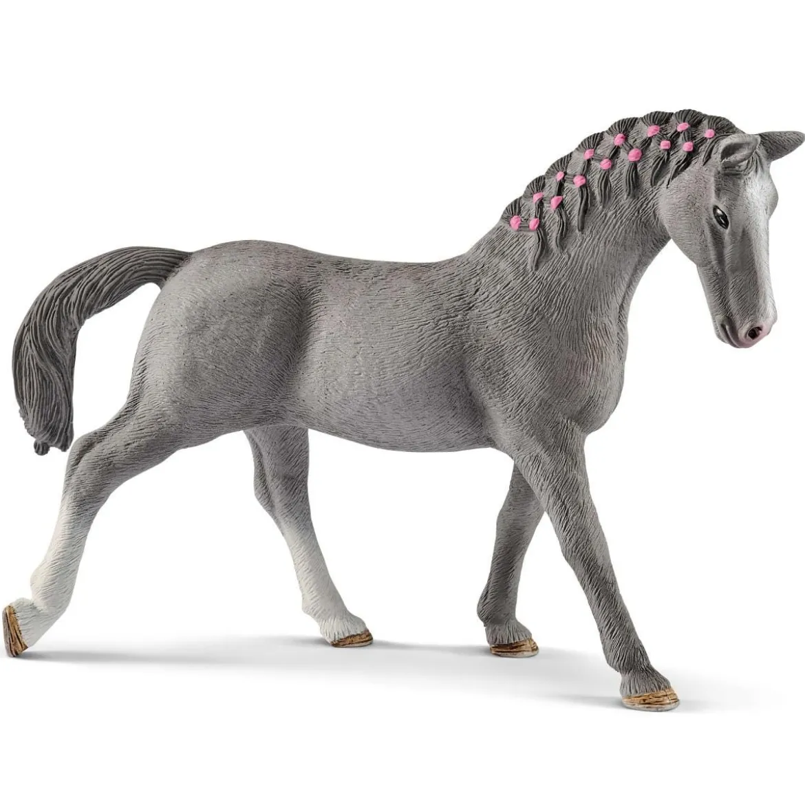 Jument Trakehnen