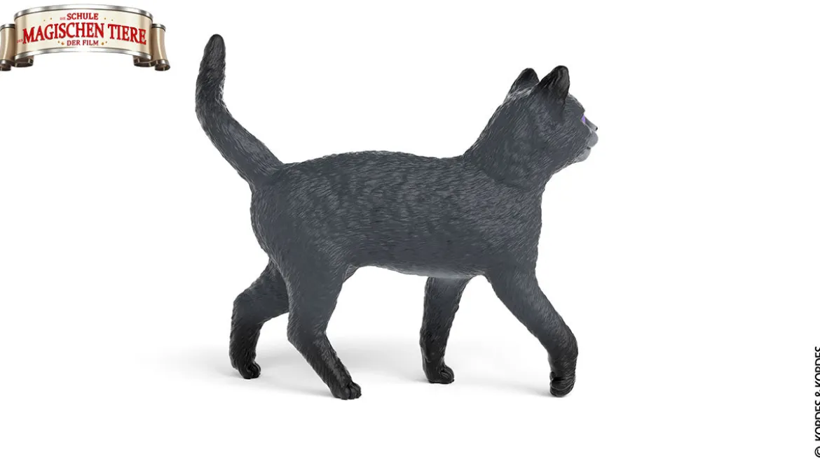 Karajan le chat