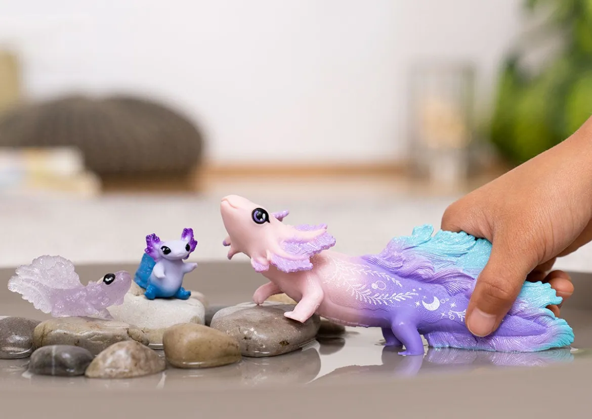 Kit de découverte Axolotls