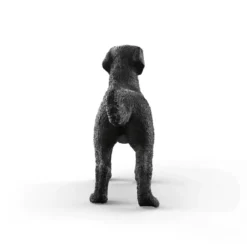 Labrador Retriever femelle noir
