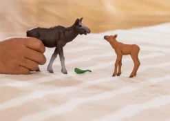 Élan Femelle avec Veau