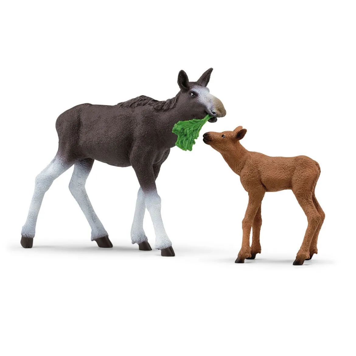 Élan Femelle avec Veau