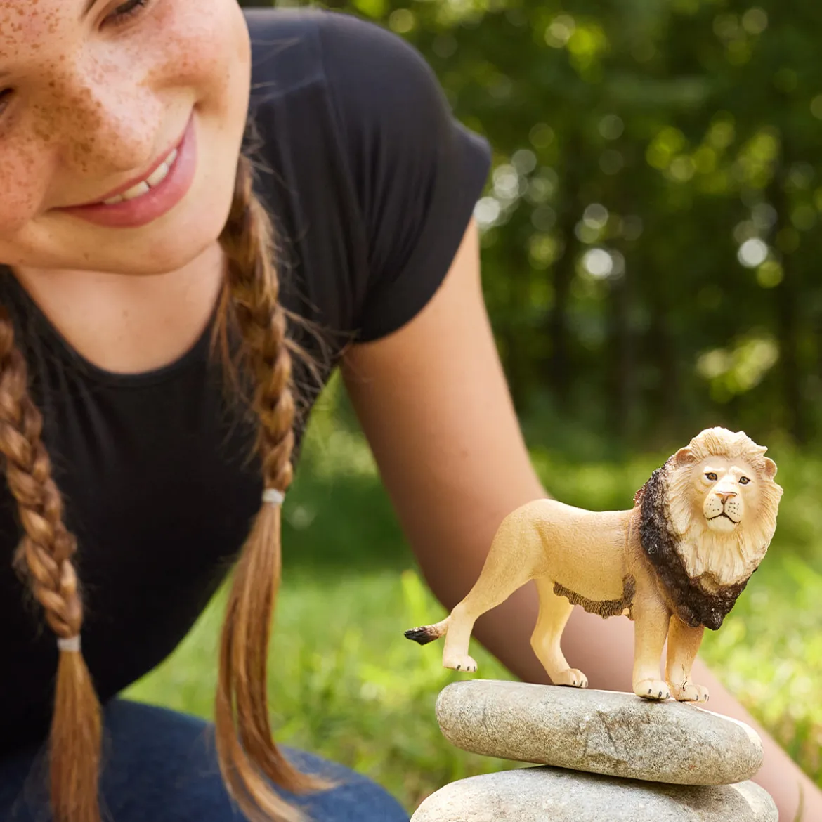 Lion (Bundle)