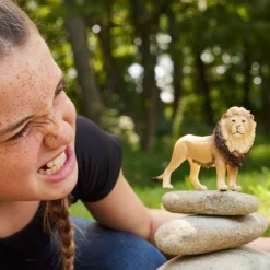 Lion (Bundle)
