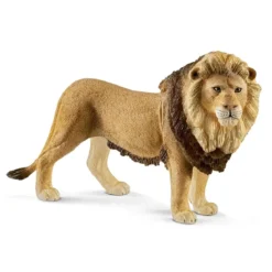 Lion (Bundle)