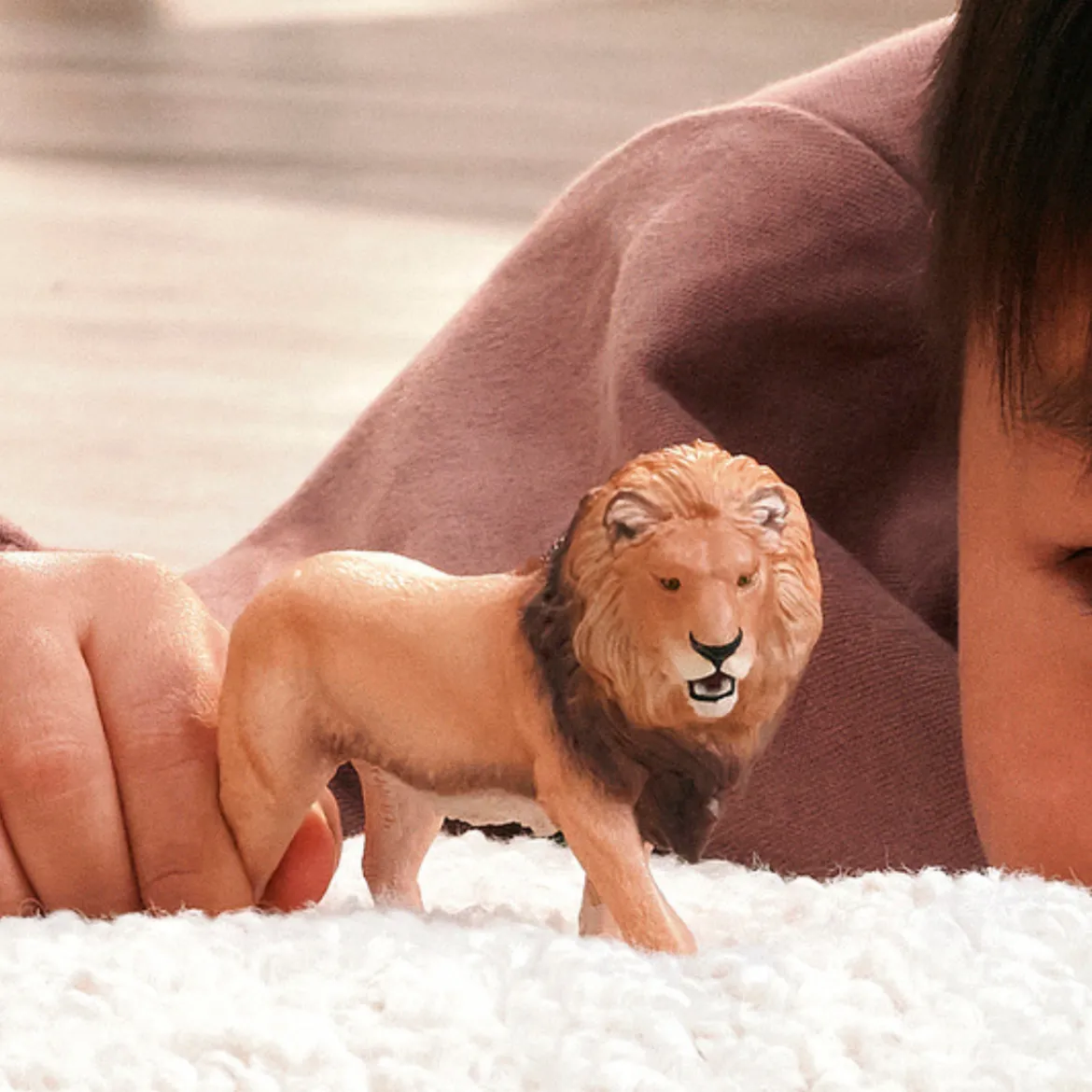 Lion d'Afrique