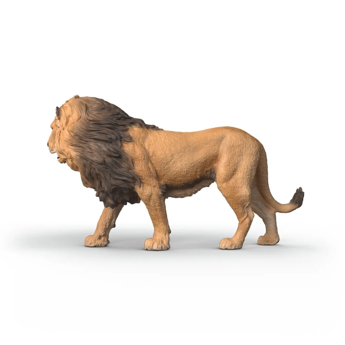 Lion d'Afrique