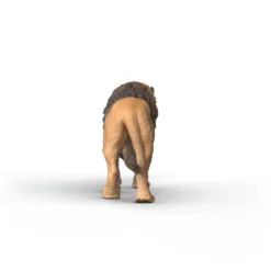 Lion d'Afrique