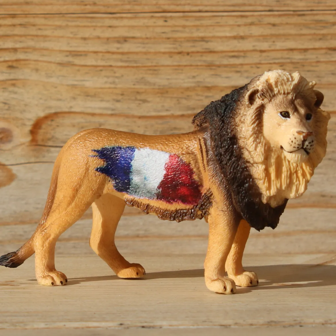 Lion France