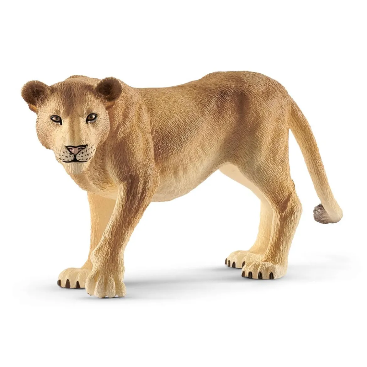Lionne