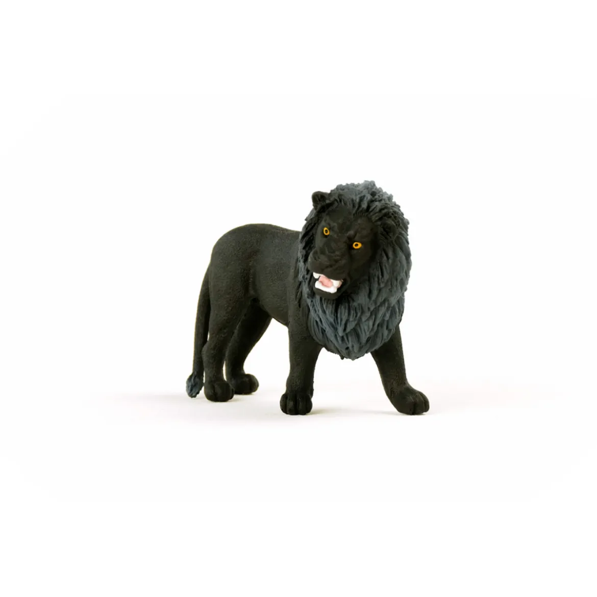 Lion noir, rugissant